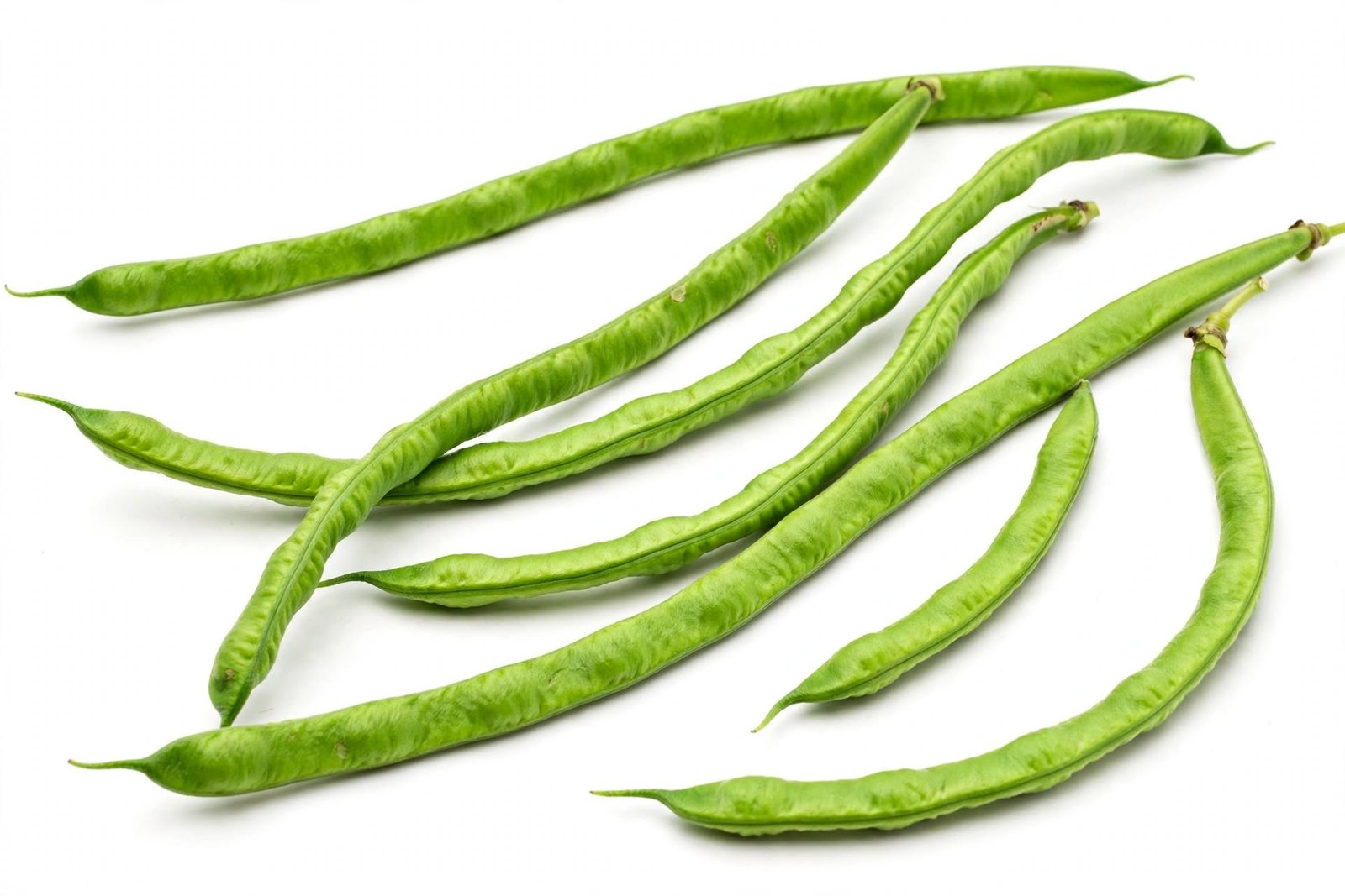 لوبيا